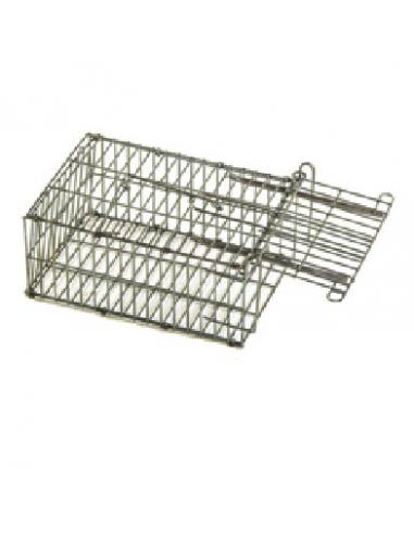 CAGE POUR CAPTURE RAT NON-CHIMIQUE